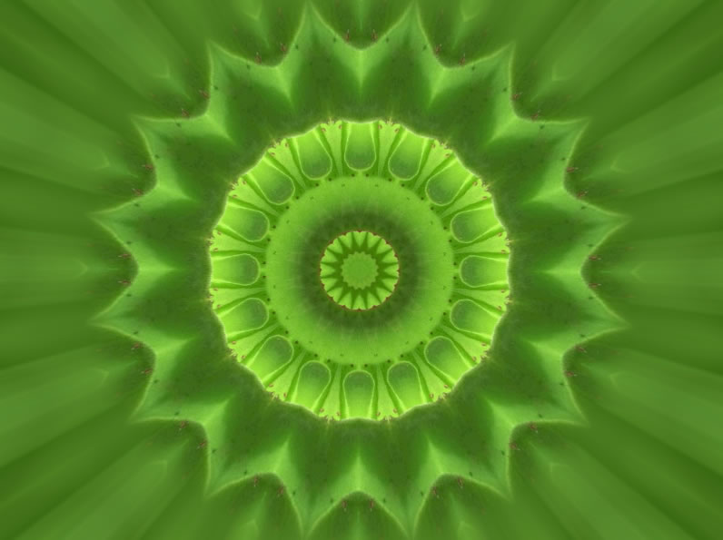 mandverde3