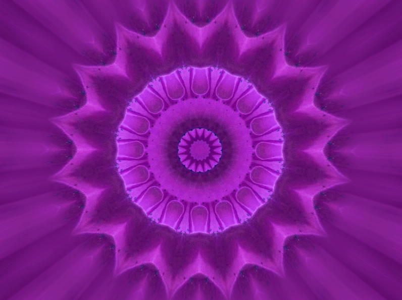 mandviol3