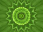 mandverde3