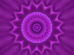 mandviol3