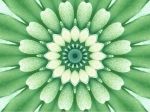 mandala-04