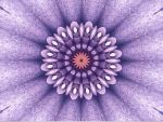 mandala-06