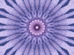 mandala-20