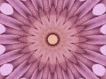 mandala-16